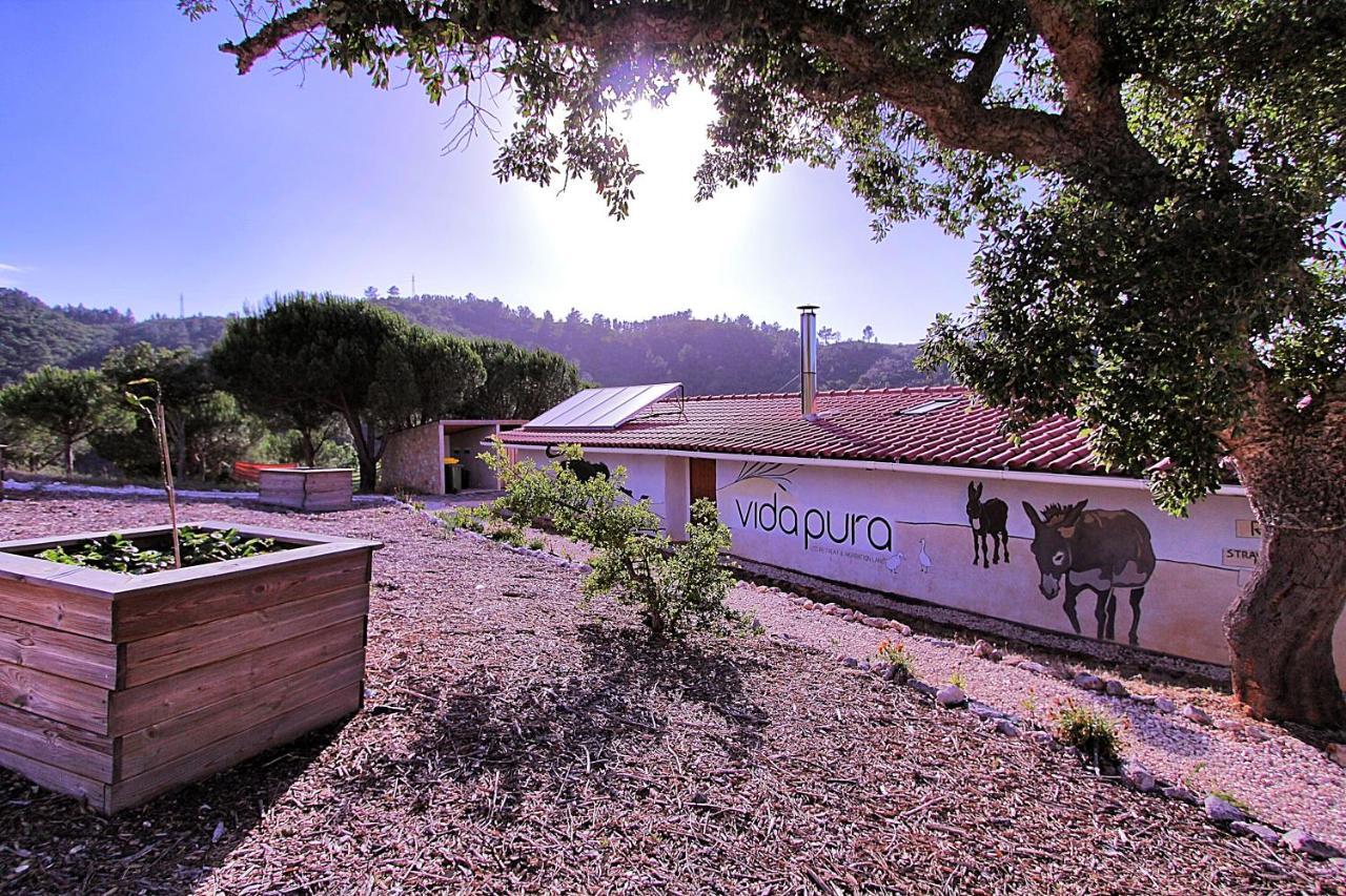 Vida Pura Guesthouse Odeceixe Esterno foto